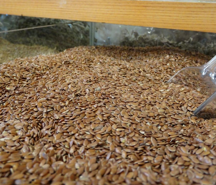 Flaxseed — Öz Kervan Kuruyemiş, Antalya